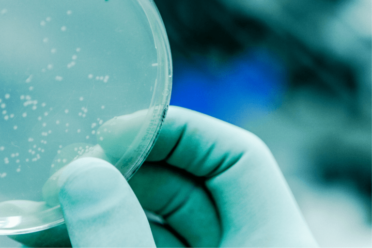 Nuovi antibiotici non basteranno a risolvere il problema dell’antibiotico-resistenza