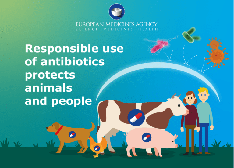 Dati di vendita degli antibiotici veterinari