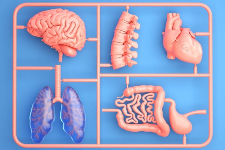 Dispositivi medici al femminile