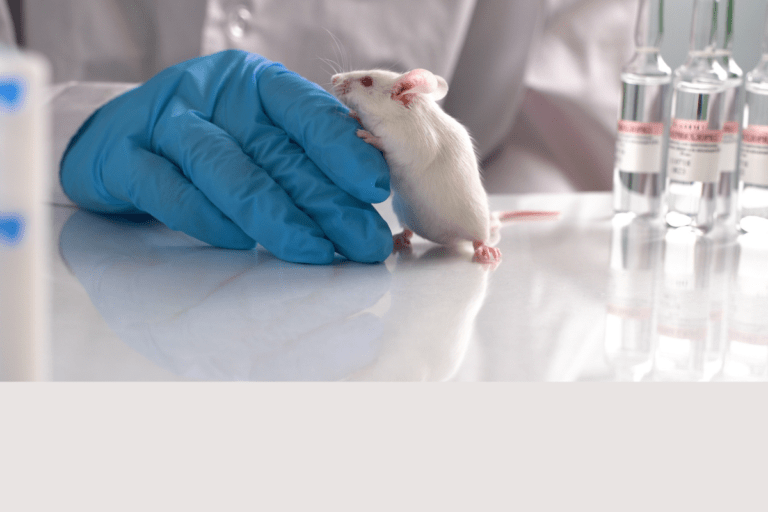 Sperimentazione animale su sostanze d’abuso e xenotrapianti