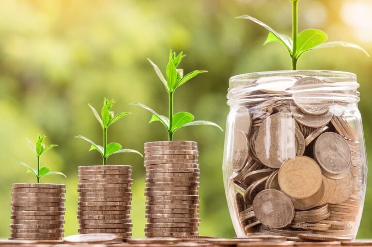 Adolescenza dell’ecosistema startup italiano: investimenti e crescita