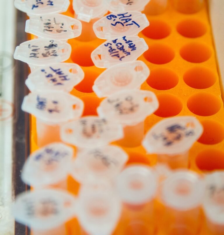 Analisi del microbiota degli insetti edibili: sicurezza e tracciabilità